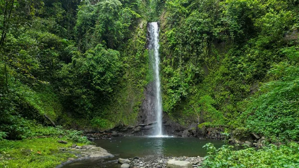 Şelale yemyeşil ormana dökülüyor.