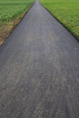 Yeşil çim tarlalarıyla çevrili asfalt yol