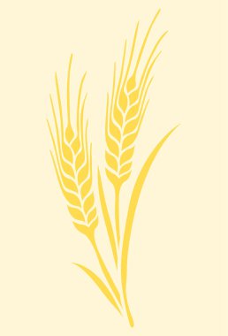 Katı bir arka planda gösterilen sivri uçlu iki buğday sapı tasviri