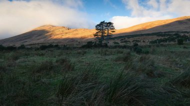 Güneş ışığı çimenli tarlaları ve dağları aydınlatıyor.