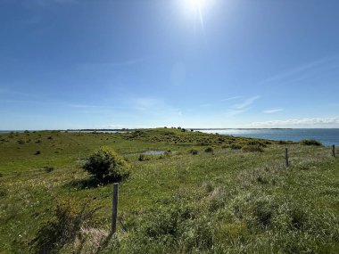 Yeşil deniz manzarası manzarası