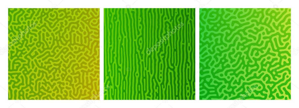 Set of three green turing reaction gradient backgrounds. Abstract diffusion pattern with chaotic shapes. Vector illustration.