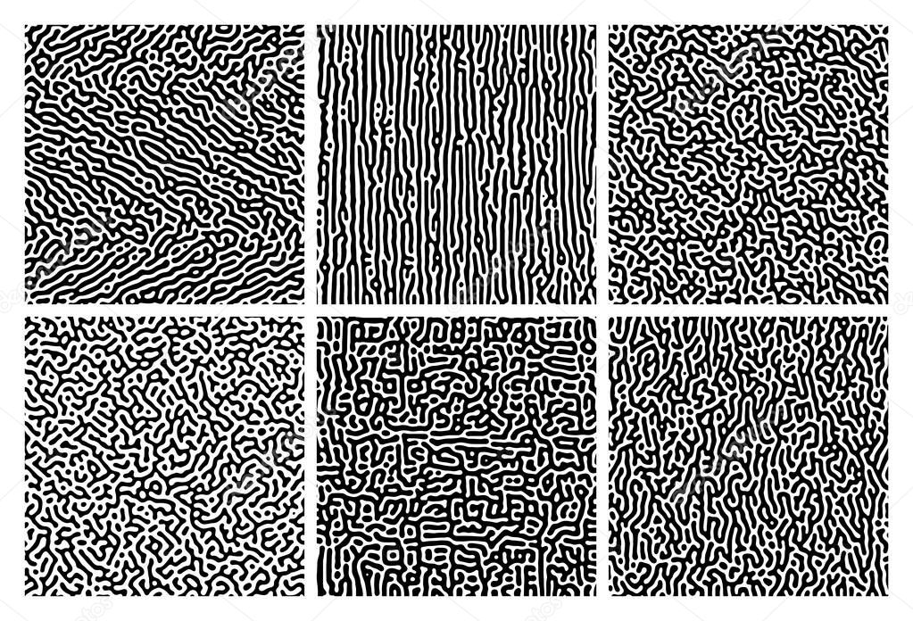 Set of six monochrome turing reaction gradient backgrounds. Abstract diffusion pattern with chaotic shapes. Vector illustration.