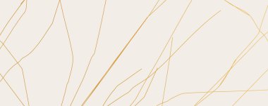 Beyaz arka planda altın sarısı Kintsugi çatlak deseni. Kırık mermere benzeyen altın çatlakların dokusu. Düğün kartları, posterler ve lüks tasarım şablonları için ideal. Vektör illüstrasyonu