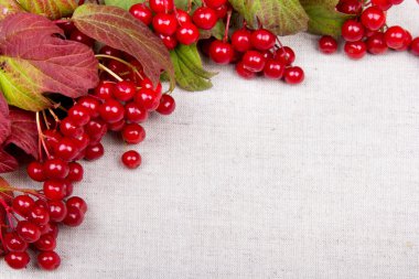 Kartopu çerçeve bez arka plan