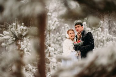 kaç bir çam ormanı içinde