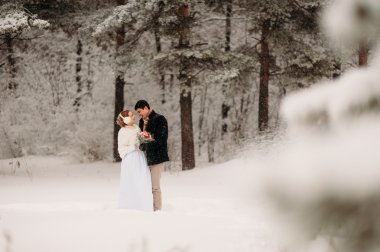 kaç bir çam ormanı içinde