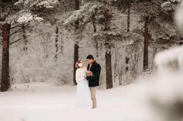 Couple in a pine forest — Stock Photo, Image