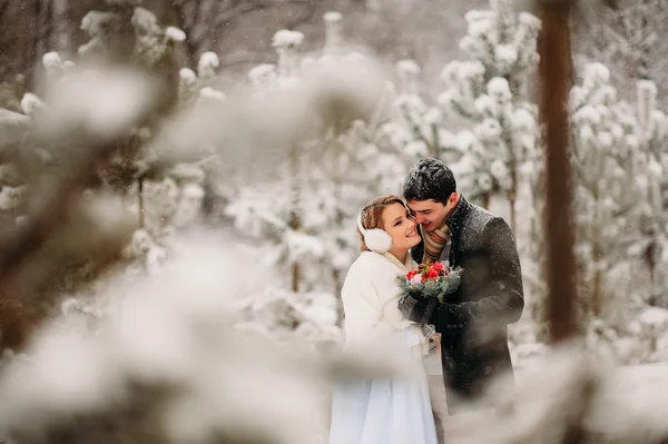 Pareja en un bosque de pinos —  Fotos de Stock