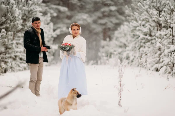 Par med en hund i vinter skog — Stockfoto