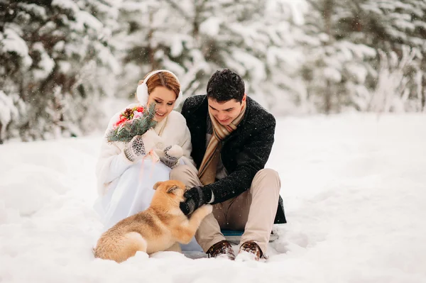 Pareja con un perro en el bosque de invierno — Foto de Stock