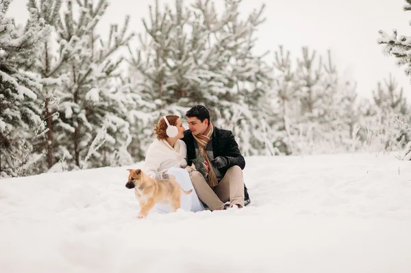 Casal com um cão na floresta de inverno — Fotografia de Stock