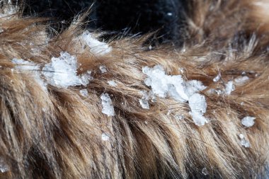 Kar, düşük sıcaklık ve kışlık giysiler içeren kürkün ayrıntıları.