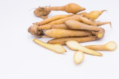 Parmak kökü, Kaempfer, Boesenbergia beyaz arkaplanda