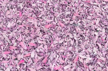 arka plan dokusu orman kattan düşen yapraklar