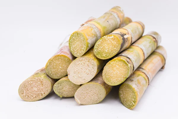 Beyaz arkaplanda şeker kamışını kapat