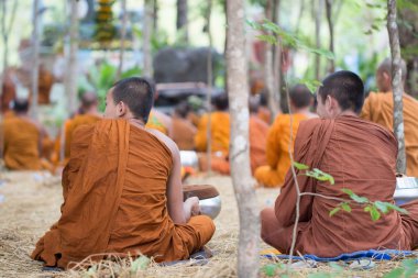 Budist Paskalya Günü, keşişler ormanda meditasyon yapar.