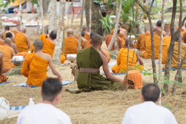 Budist Paskalya Günü, keşişler ormanda meditasyon yapar.