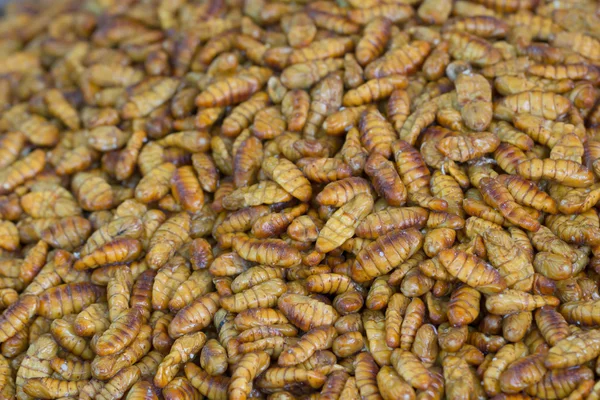 Frito Aceite Larvas Gusano Seda Cerca — Foto de Stock