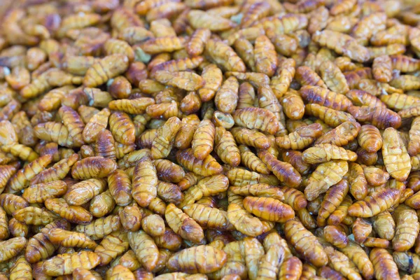 Frito Larvas Bicho Seda Óleo Perto — Fotografia de Stock