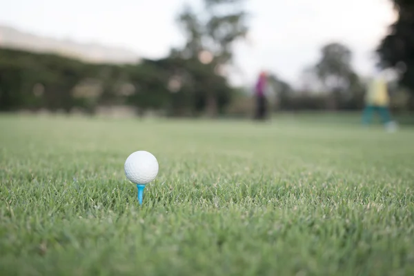 Golfboll på tee — Stockfoto