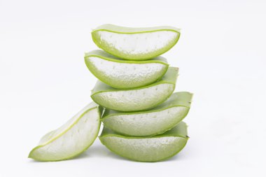 aloe vera taze yaprak. Beyaz arka plan üzerinde izole