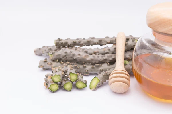 kalp yaprak moonseed ot için sağlıklı