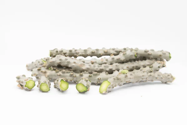 kalp yaprak moonseed ot için sağlıklı