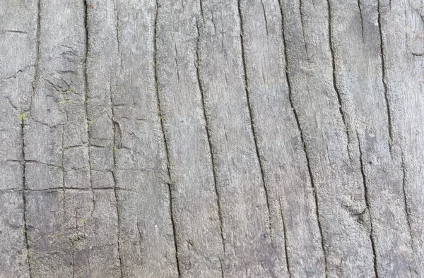 Old, cracked wood background, high resolution — Stock Photo, Image