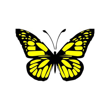 spring, vektör, grafik tasarım, yaz, sembole, background, art, illüstrasyon, çizgi film, Lovely, simge, set, doğa, çiçek, kelebek, tecrit, element, koleksiyon, sinek, böcek, hayvan, dekorasyon, beyaz, güzel, renkli, bahçe, işaret, kanat, siyah