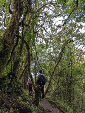 Ceketli Adam Gün Doğuşunu İzliyor