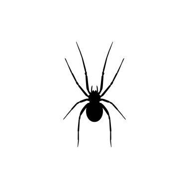 Örümcek Silueti Simge, Sembol, Logo, Etçil Omurgasızlar, İllüstrasyon, Uygulamalar, Pictogram veya Grafik Tasarım Elementi için kullanılabilir. Vektör İllüstrasyonu