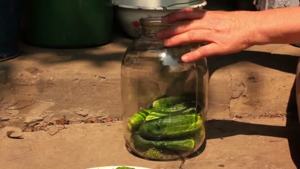 Mesa com utensílios para enlatamento de pepinos. endro fresco que põe de lado . — Vídeo de Stock