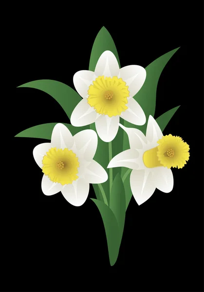 Bahar çiçek - nergis