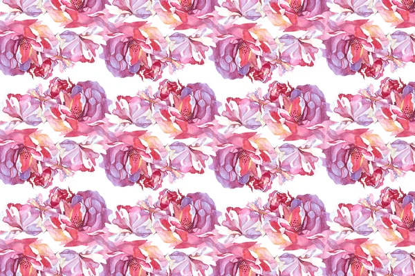 Pattern rose watercolor — Stock Photo, Image