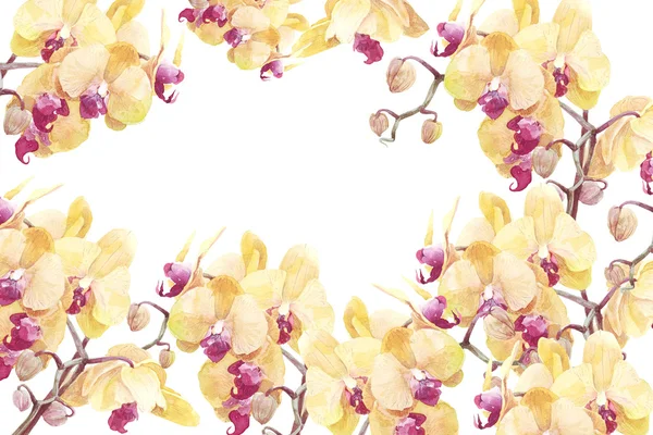 Orchid flower print in soft colors, watercolor — Stock Photo, Image