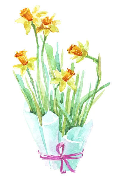 Aquarela daffodil flores — Fotografia de Stock