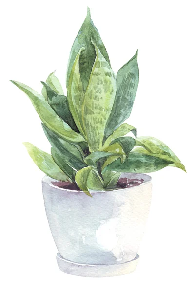 suluboya eve çiçek