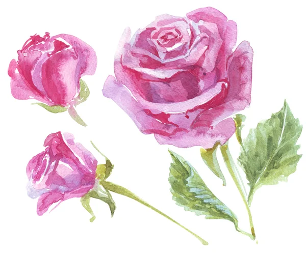 Růžové pozadí akvarel ilustrace — Stock fotografie