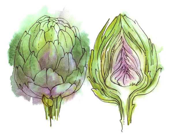 Watercolor artichoke for food, vegetarian and other design — Stock Photo, Image