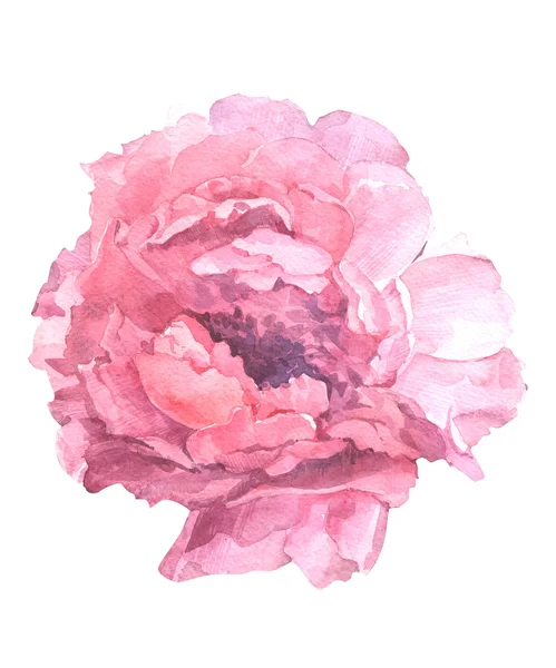 bir suluboya çiçek çizimi