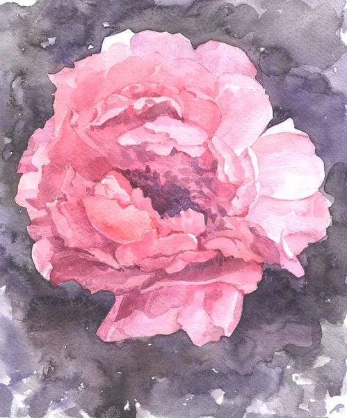 Ilustracja kwiat kwiatowy z akwarela — Zdjęcie stockowe