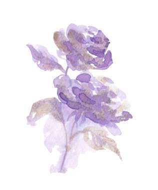 Gül fiolet arka plan suluboya resim