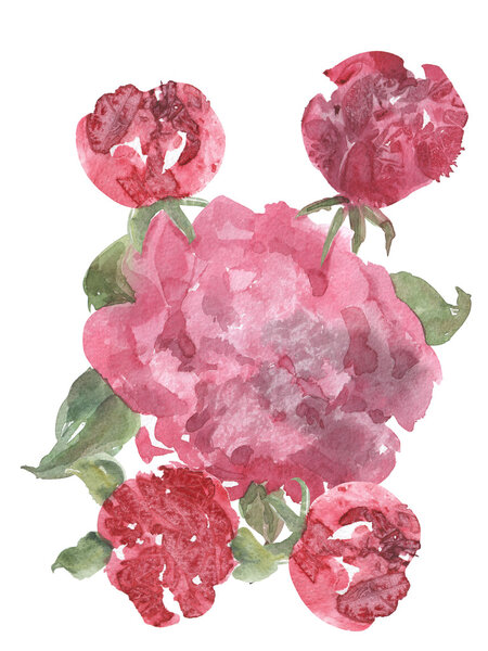 Пион-акварель
