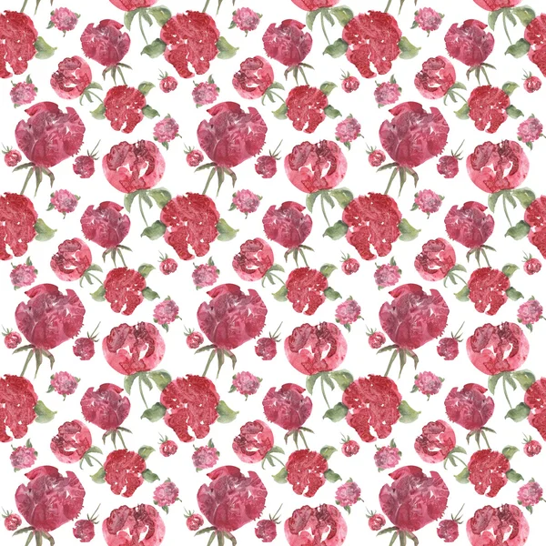 Peony watercolor pattern — Stock Photo, Image