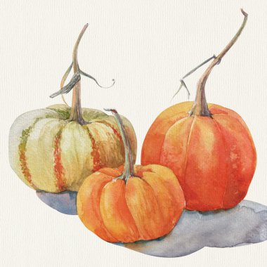 Suluboya kabak. Sonbahar sebze