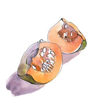 Suluboya kabak. Sonbahar sebze