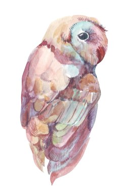 Baykuş suluboya resim