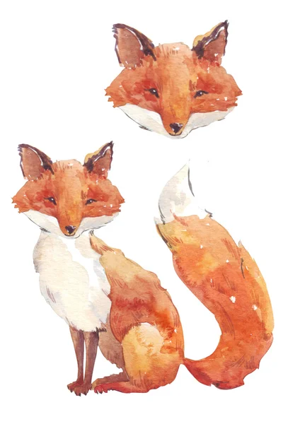 Fox akvarel stylizace — Stock fotografie