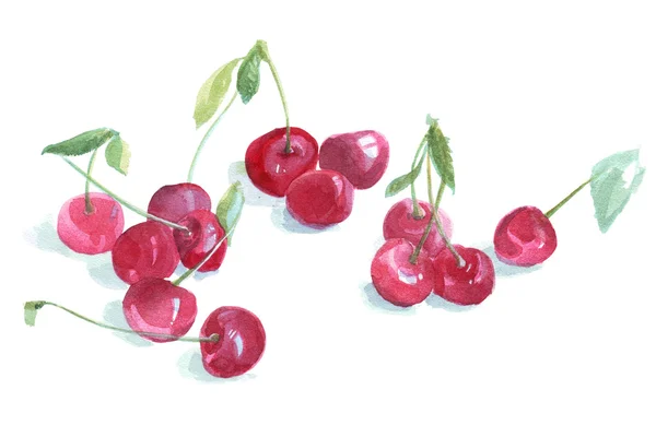 Sweet cherry drzewo ilustracja — Zdjęcie stockowe